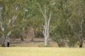 Property photo of 18 Pittwater Drive Windsor Gardens SA 5087
