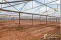 Property photo of 347 King Road Virginia SA 5120