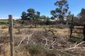 Property photo of 28B Twentyfifth Street Renmark South SA 5341