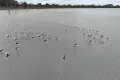 Property photo of 61 Scott Hair Watsons Road Clear Lake VIC 3409