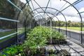 Property photo of 198 Cunningham Road Goomboorian QLD 4570