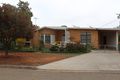 Property photo of 7 Donald Street Robinvale VIC 3549