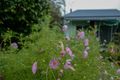 Property photo of 7 Beech Street Dorrigo NSW 2453