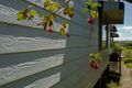 Property photo of 7 Beech Street Dorrigo NSW 2453