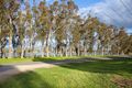 Property photo of 65 Marma Street Murtoa VIC 3390