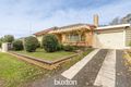 Property photo of 4 York Street Golden Point VIC 3350