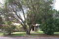 Property photo of 23 Dunkeith Avenue Benowa QLD 4217
