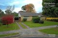 Property photo of 47 Surrey Road East Croydon VIC 3136