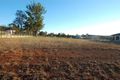 Property photo of 11 Berghofer Drive Highfields QLD 4352