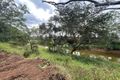 Property photo of 102 Cotton Patch Lane Clermont QLD 4721