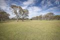 Property photo of 531 Wimmera Highway Naracoorte SA 5271