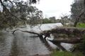 Property photo of 14 Pante Place Werribee VIC 3030