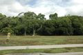 Property photo of 25 Muller Street Palm Cove QLD 4879