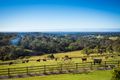 Property photo of 233 Wagonga Scenic Drive Narooma NSW 2546
