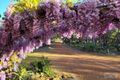 Property photo of 14 Leschenaultia Drive Chittering WA 6084