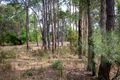 Property photo of 1680 Great Eastern Highway Glen Forrest WA 6071