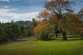 Property photo of 1360 Bacchus Marsh Road Bullengarook VIC 3437