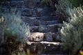 Property photo of 26 Forest Road Trevallyn TAS 7250