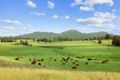 Property photo of 3 Windermere Road Lochinvar NSW 2321