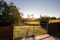 Property photo of 587 Louis Bazzo Drive Pomona QLD 4568