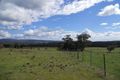 Property photo of 173 Strip Road Little Swanport TAS 7190