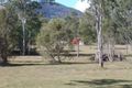 Property photo of 1-25 Stringybark Road Tamborine QLD 4270