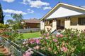 Property photo of 84 Wombat Street Young NSW 2594