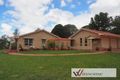 Property photo of 7 Campbell Place Aldavilla NSW 2440