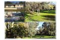 Property photo of 93 Bathurst Street Forbes NSW 2871