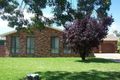 Property photo of 59 Cutler Avenue Cootamundra NSW 2590