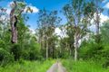 Property photo of 22 Benauds Road Bora Ridge NSW 2471