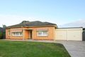 Property photo of 14 Oliphant Avenue Oaklands Park SA 5046