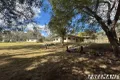 Property photo of 593 Nanango Brooklands Road Brooklands QLD 4615
