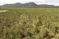 Property photo of 6752 Flinders Highway Mingela QLD 4816