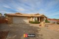 Property photo of 32 Sue Geh Circuit Nicholls ACT 2913