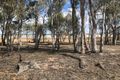 Property photo of 114 Dry Lake Road Euston NSW 2737