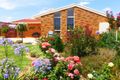 Property photo of 3 Anderson Street Finley NSW 2713