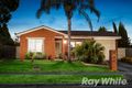 Property photo of 7 Apple Grove Bayswater VIC 3153