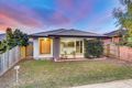 Property photo of 47 Glorious Promenade Redbank Plains QLD 4301
