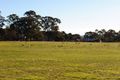 Property photo of 4940 Ballarat-Maryborough Road Talbot VIC 3371