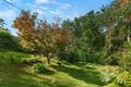 Property photo of 23 Kethel Road Cheltenham NSW 2119