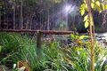 Property photo of 55 Cunning Road Tanawha QLD 4556