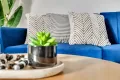 Property photo of 55 Lorraine Crescent Jacana VIC 3047