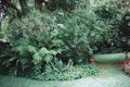 Property photo of 150 Galston Road Hornsby Heights NSW 2077