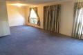 Property photo of 12 Carolyn Grove Athelstone SA 5076