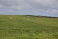Property photo of 582 Hopkins Point Road Allansford VIC 3277