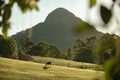 Property photo of 102 Solar Road Eumundi QLD 4562