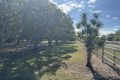 Property photo of 7 Lindeman Drive Bloomsbury QLD 4799