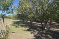 Property photo of 7 Lindeman Drive Bloomsbury QLD 4799
