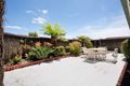 Property photo of 3 Lynda Close Cheltenham VIC 3192